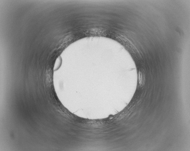 X0000115501107200912181418