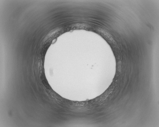X0000115501111200912181418
