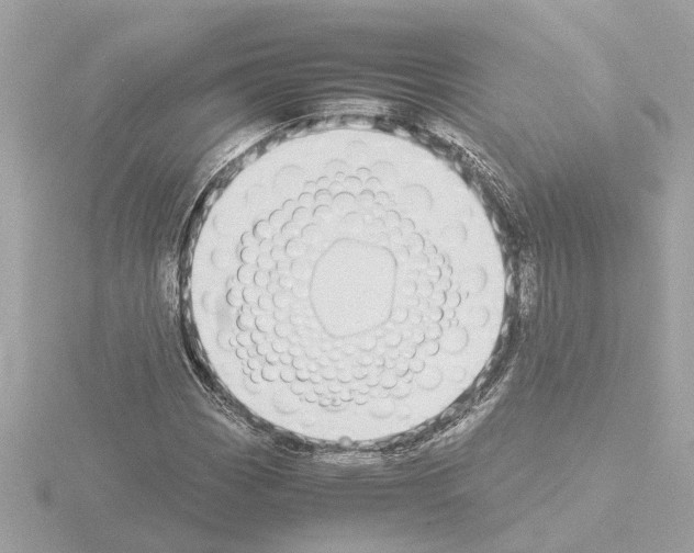 X0000115501113200912181418