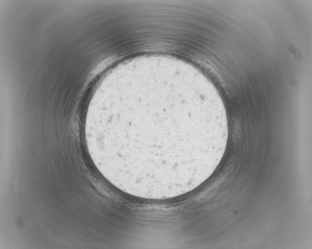 X0000115501114200912181418