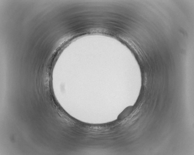 X0000115501115200912181418