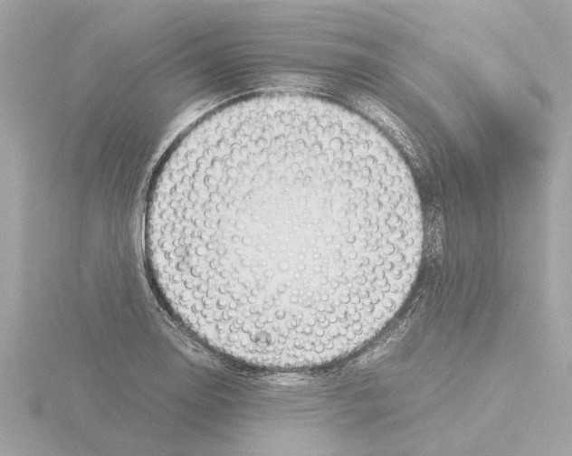 X0000115501130200912181418