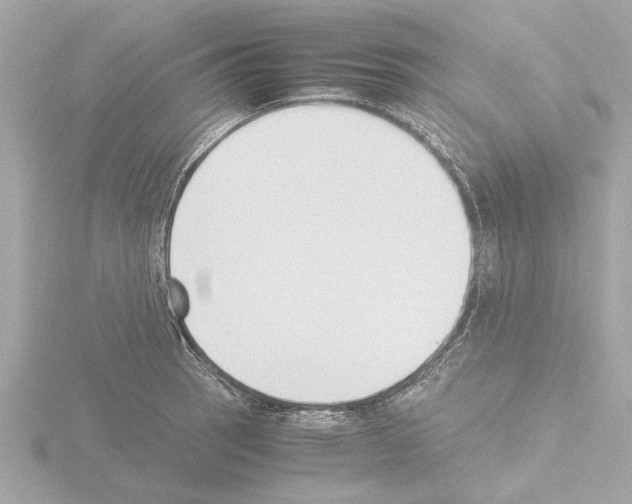 X0000115501137200912181418