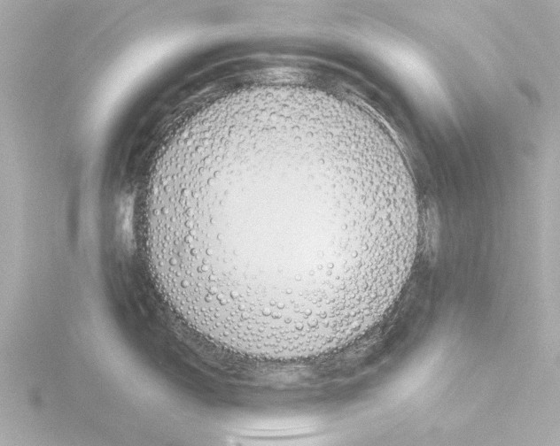X0000115501150200912181418