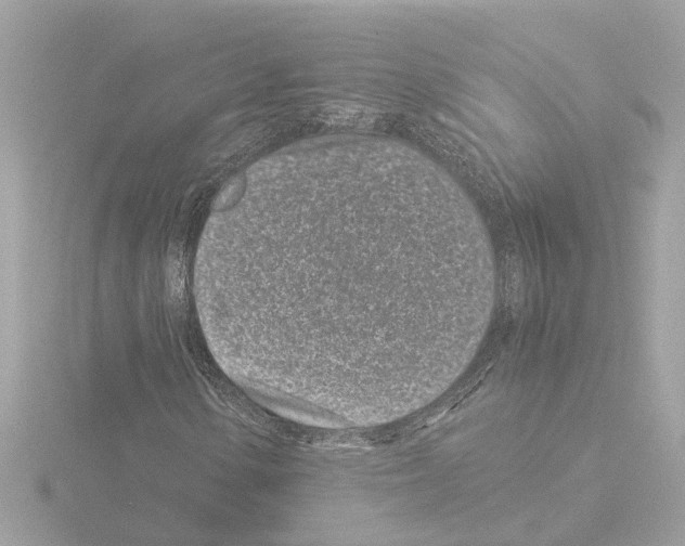 X0000115501154200912181418