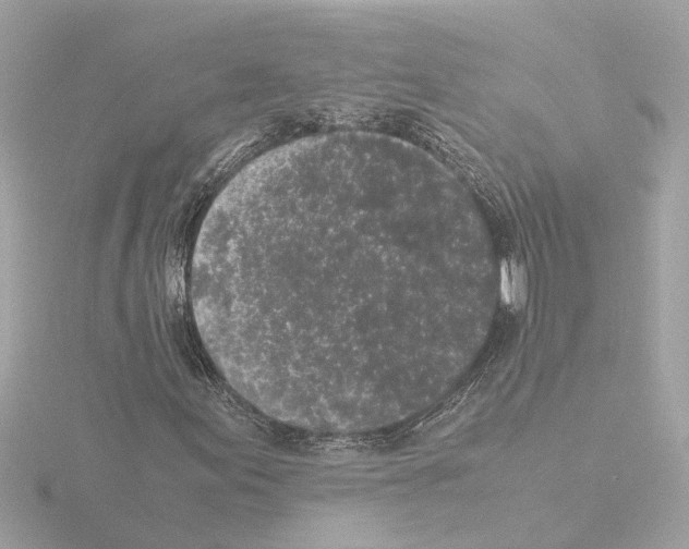 X0000115501155200912181418