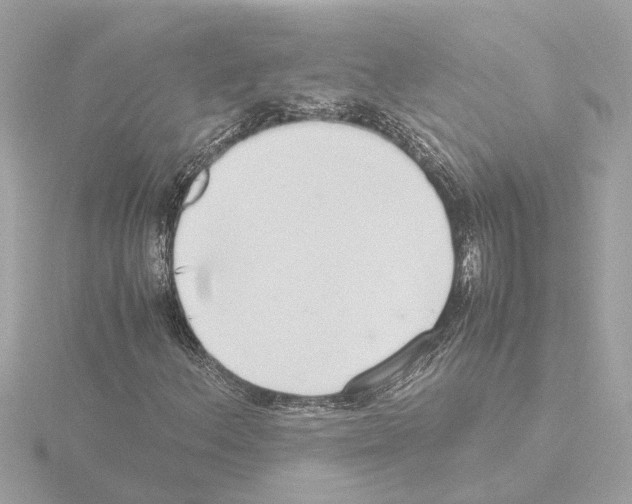 X0000115501156200912181418
