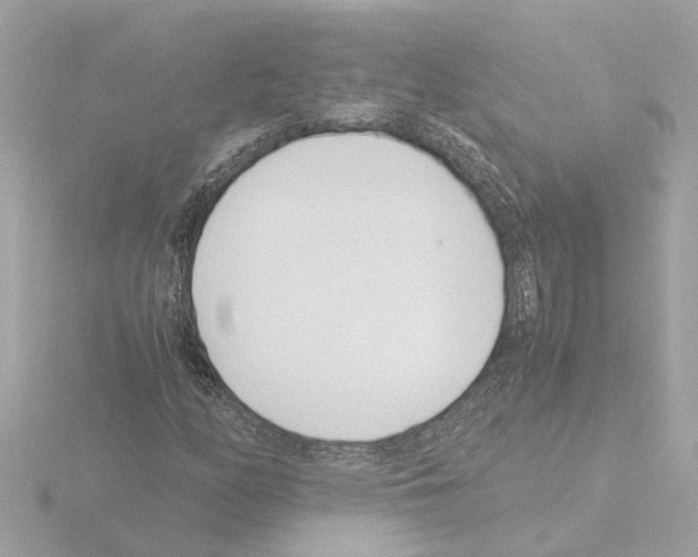 X0000115501158200912181418