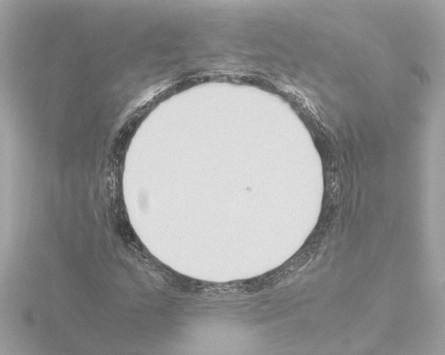 X0000115501159200912181418