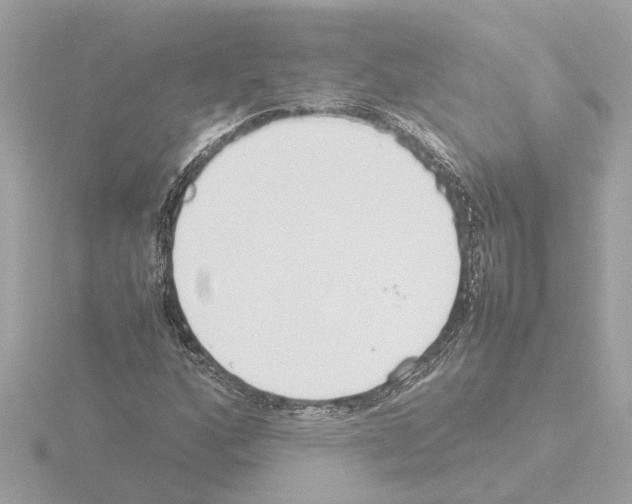 X0000115501160200912181418