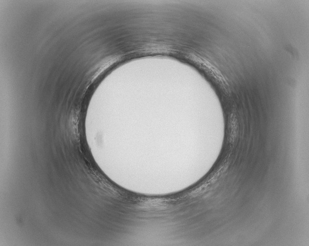 X0000115501162200912181418