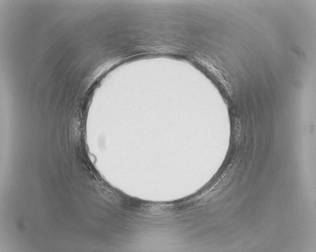 X0000115501163200912181418