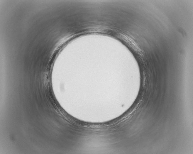 X0000115501164200912181418