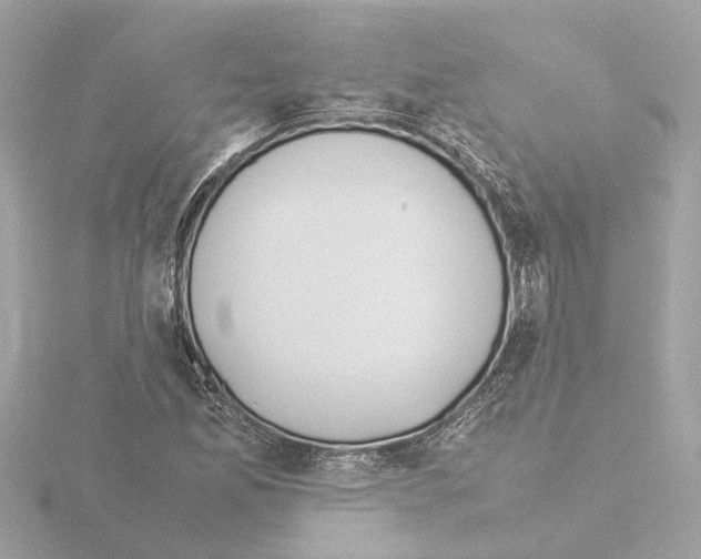 X0000115501165200912181418