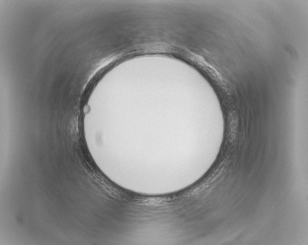 X0000115501166200912181418