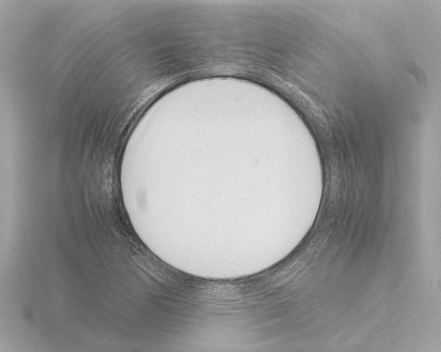 X0000115501170200912181417