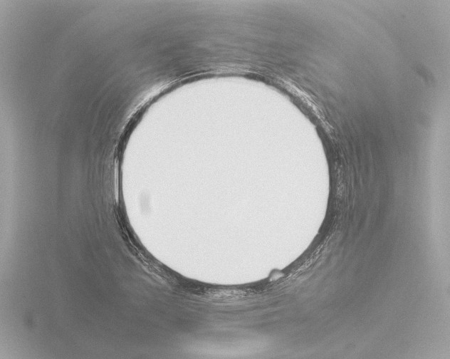 X0000115501171200912181417