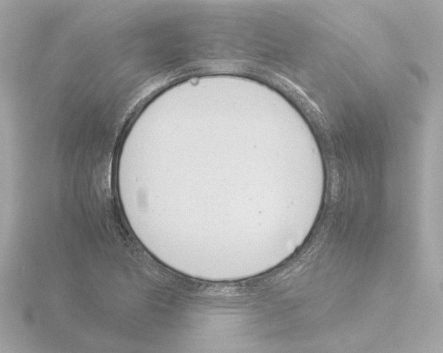 X0000115501174200912181417