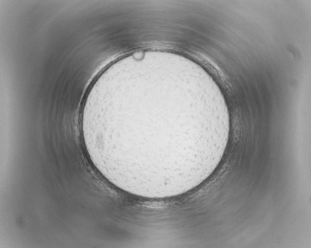 X0000115501182200912181417