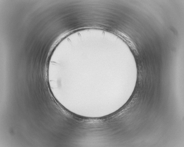 X0000115501188200912181417