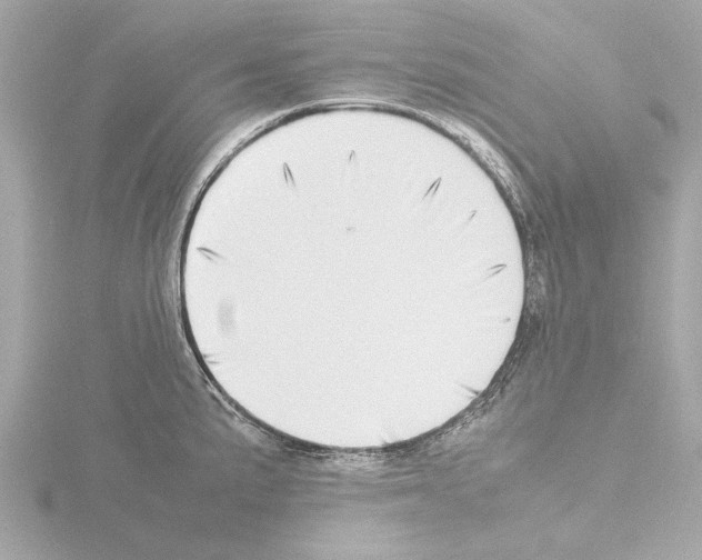 X0000115501191200912181417