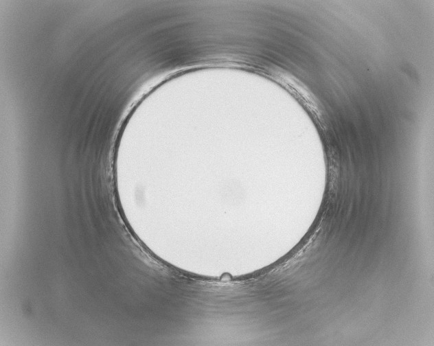 X0000115501192200912181417