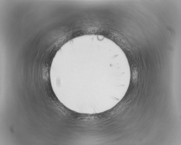 X0000115501204200912181416