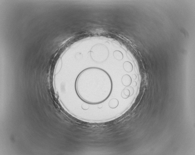 X0000115501205200912181417