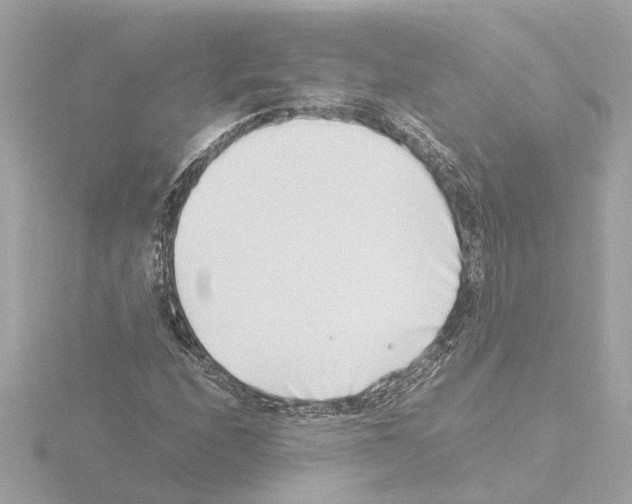 X0000115501208200912181417