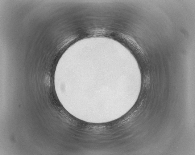 X0000115501209200912181417