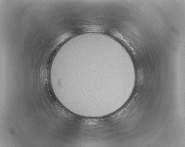 X0000115501211200912181417