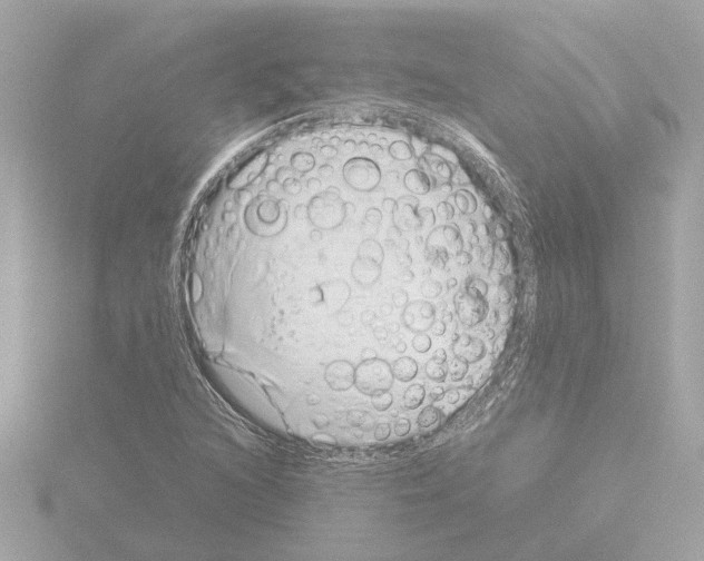 X0000115501216200912181417