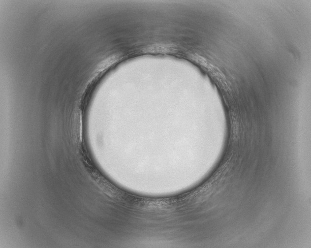 X0000115501219200912181417