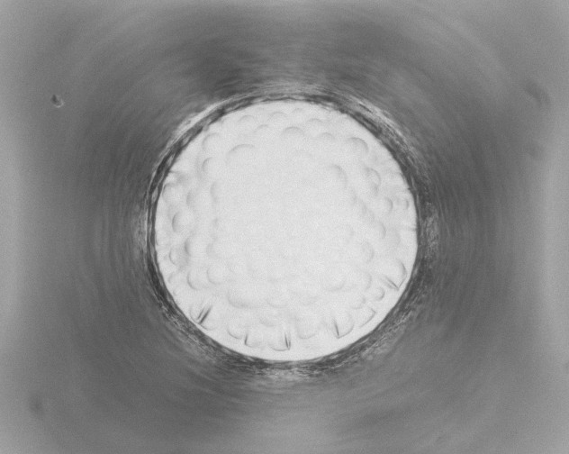X0000115501220200912181417