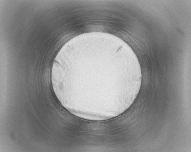 X0000115501227200912181417