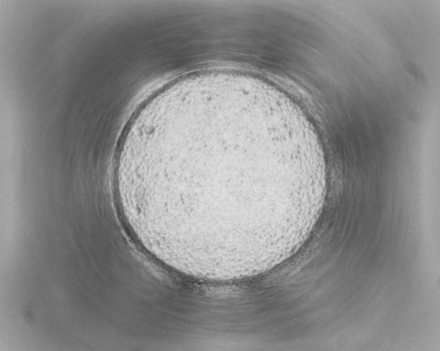 X0000115501231200912181417