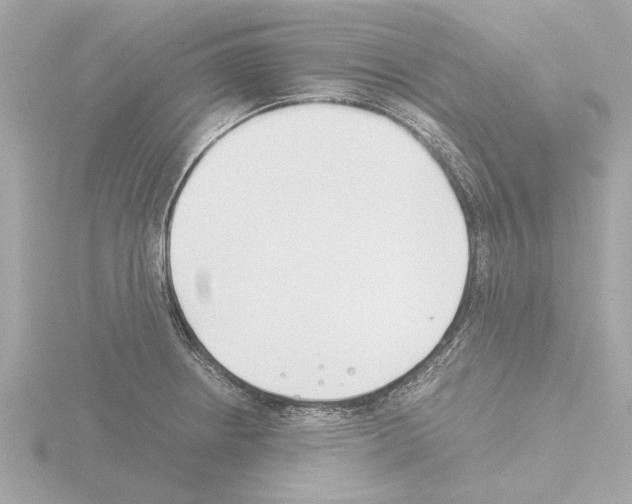 X0000115501234200912181417