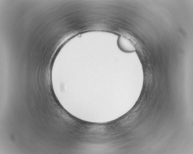 X0000115501238200912181417