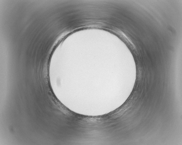 X0000115501240200912181417