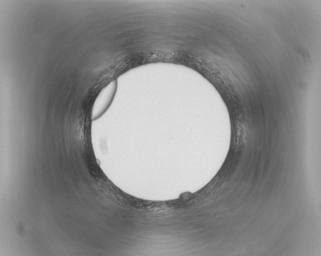 X0000115501250200912181416