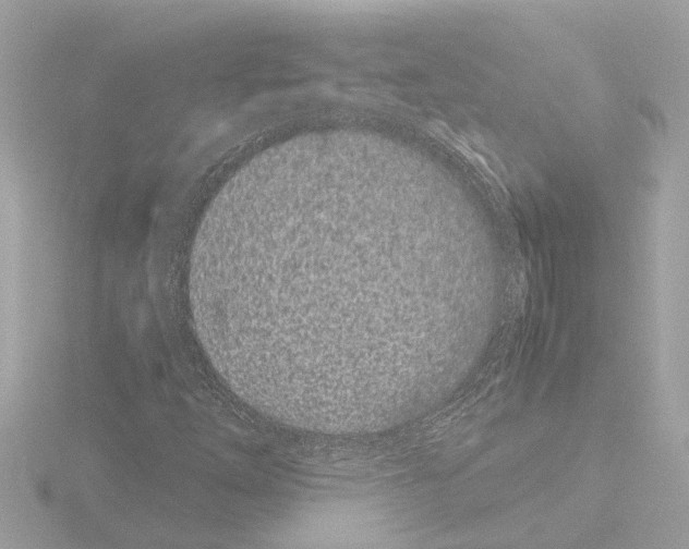 X0000115501254200912181416