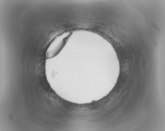 X0000115501256200912181416