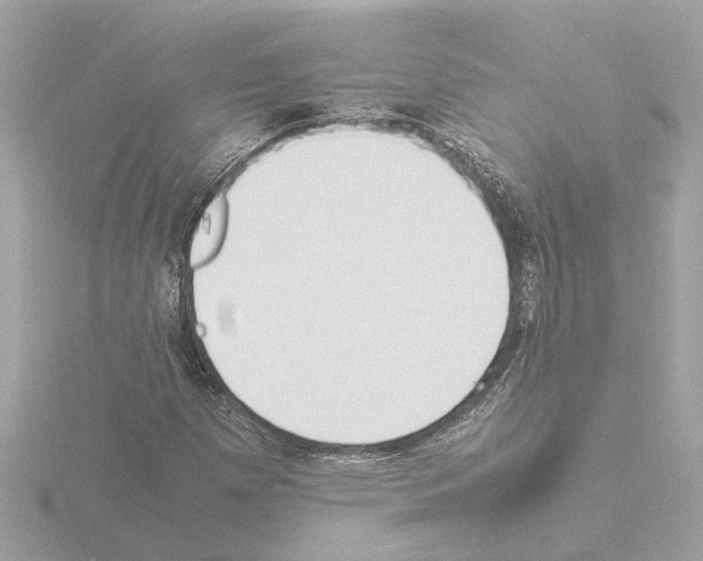 X0000115501257200912181416