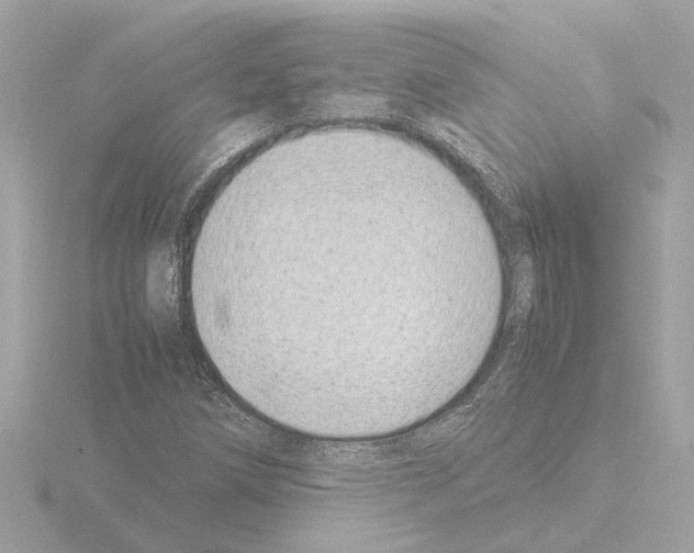 X0000115501258200912181416