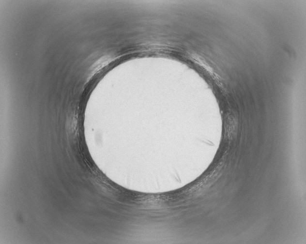 X0000115501259200912181416