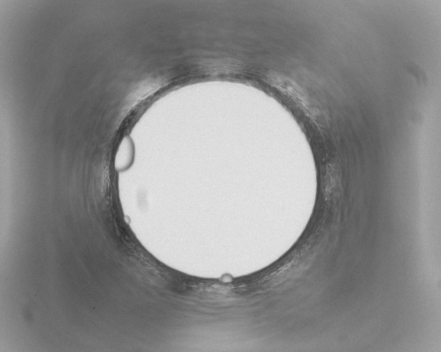 X0000115501261200912181416