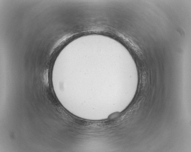 X0000115501262200912181416