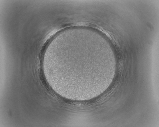 X0000115501263200912181416