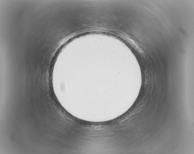 X0000115501264200912181416