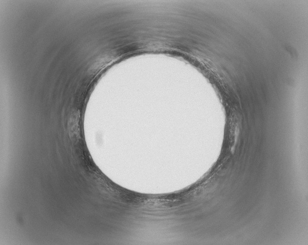 X0000115501265200912181416